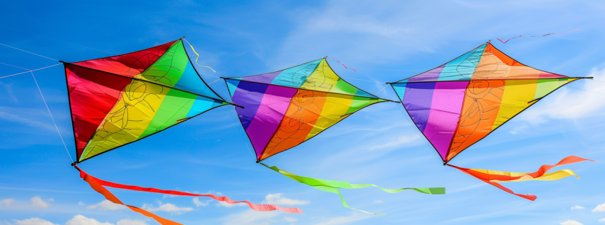 Chitrmela National Kite Flying Day   chaos 33   ar 586217   styl 7d0e1cad ee2b 4f50 8b0e 2813019aa7e3 2