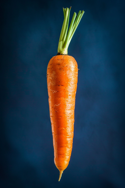 Chitrmela A medium of a vibrant orange carrot detailed and posit 0bcaa4cf 3795 4b32 85dc 88bdf367994d 1