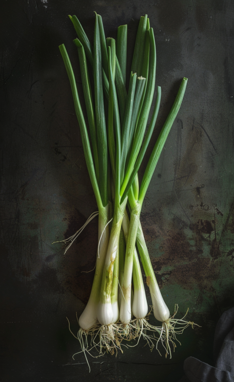 Chitrmela fresh spring onions  professional photograph   ar 813 e6db4841 804f 478c 882d 6c8d19095bd3 1