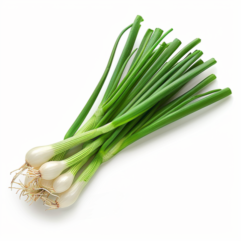 Chitrmela one green onions on a white background realistic style f7a9e685 d7c6 42f1 9fa8 e4e46122946a 3