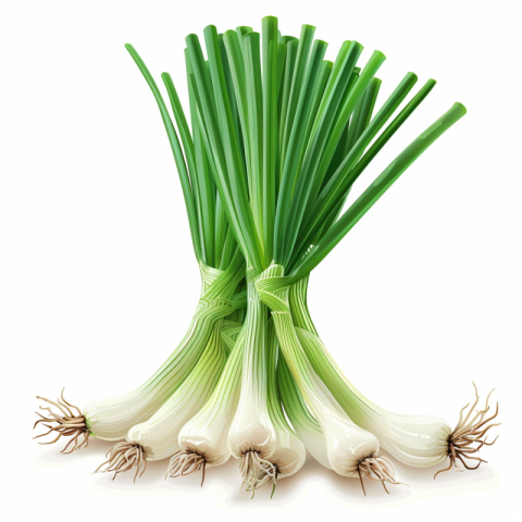 Chitrmela one green onions on a white background realistic style f7a9e685 d7c6 42f1 9fa8 e4e46122946a 0